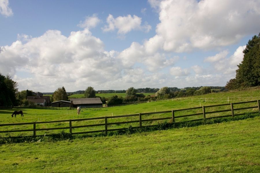 Green pasture with two horses grazing, wooden fences, farm buildings, trees, and a partly cloudy sky.
