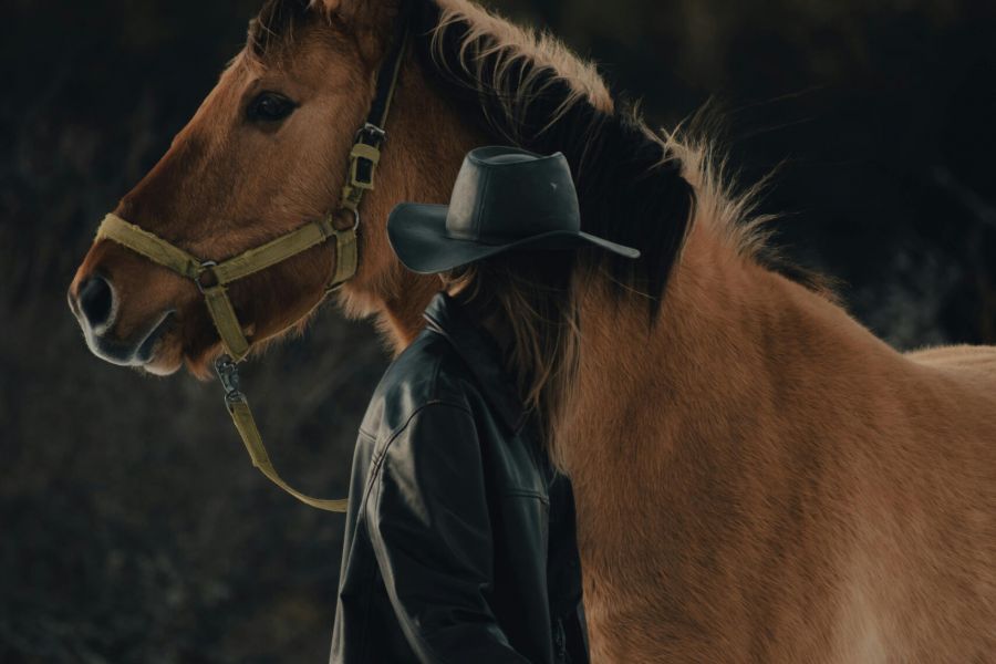 Person in a wide-brimmed hat stands beside a brown horse outdoors near a wooden fence, trees in background.