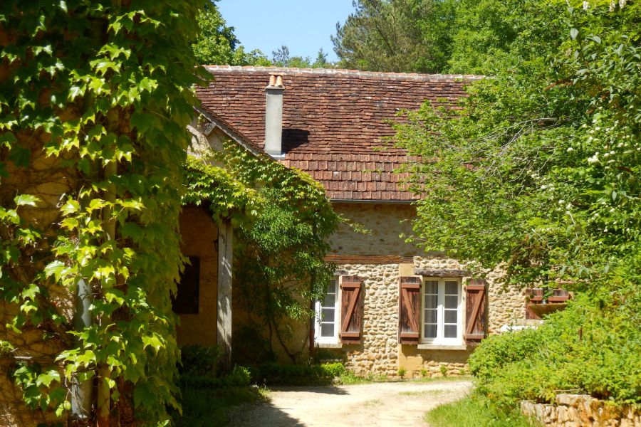 A rustic stone house with wooden shutters is surrounded by greenery and sunlight on a quiet day.